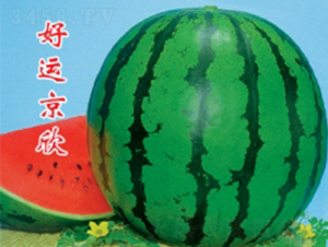 ���\(y��n)����-���ϷN��-�ؼt�N�I(y��)