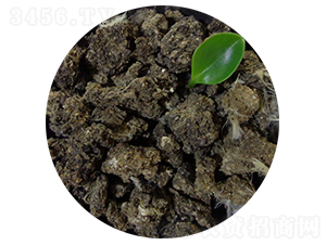 �����u�S�K-�T������ 