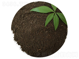 ţ�S��-�T������