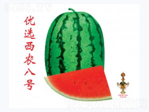 ��(y��u)�x���r(n��ng)��̖-���ϷN��-�ؼt�N�I(y��)