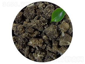 ���u�S��-�T������ 