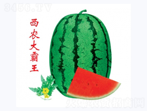 ���r(n��ng)�����-���ϷN��-�ؼt�N�I(y��)