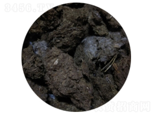 ��ţ�S��-�T������