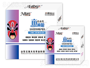 ���׿����I(y��ng)�B(y��ng)�M��-�r(n��ng)��˼�������Z-�ƺ��� 