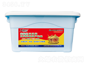 ������I�B(y��ng)�M��-�r(n��ng)��˼��������-�ƺ���