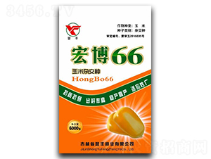 �격66-���׷N��-�u�S�N�I(y��)