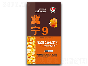 ����9-���׷N��-�u�S�N�I(y��)