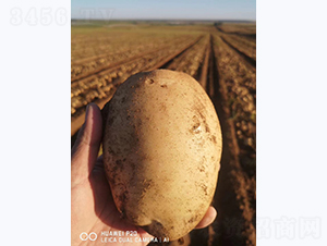 ����һ̖(h��o)-�R����N��-����N�I(y��)