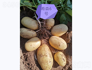 ϣɭ��̖(h��o)-�R����N��-����N�I(y��)