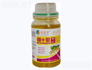 �Ǵ���+�f-��ԭ�S