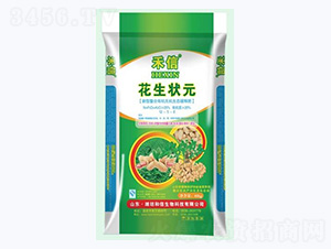 ������Ԫ-����-��������