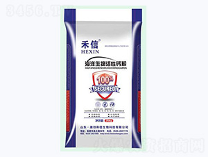 ������������}�ʣ��۠-����-��������