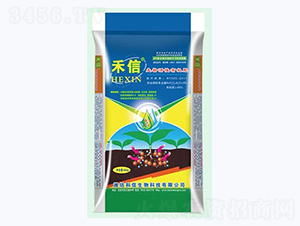 ��������ЙC��-����-��������