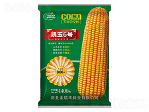 �P��6̖(h��o)���G��-���׷N��-�����S�N�I(y��)