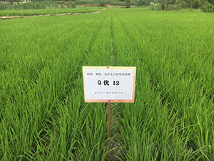 Q��(y��u)12-�׷ۼӹ���-��һ�N�I(y��)