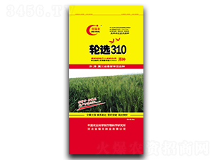 ݆�x310-С���N��-�����S�N�I(y��)