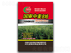 ��������816-С���N��-�����S�N�I(y��)