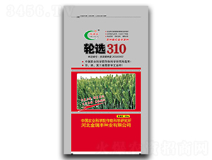 ݆�x310��20kg��-С���N��-�����S�N�I(y��)