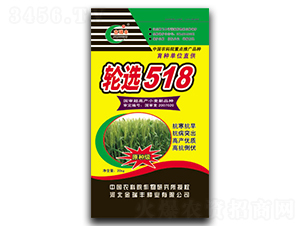 ݆�x518��20kg��-С���N��-�����S�N�I(y��)