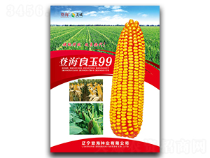 �Ǻ�����99-���׷N��-�Ǻ��N�I(y��)