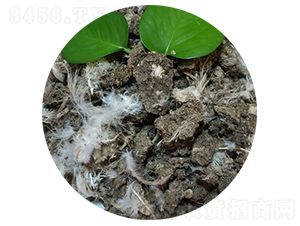 ����u�S-�����