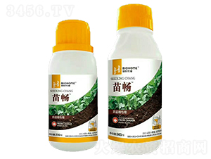 �����ڌ���-�畳-�����r(n��ng)�I(y��)