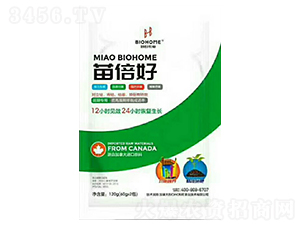 ���ڌ����籶��-�����r(n��ng)�I(y��)