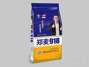 ����918-С���N��-�������N�I(y��)