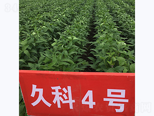 �ÿ�4̖-�󶹷N��-�L�ǷN�I(y��)