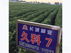 �ÿ�7̖-�󶹷N��-�L�ǷN�I(y��)