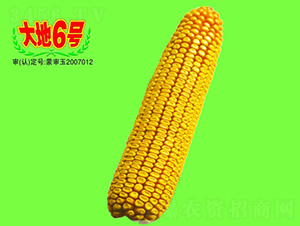 ���6̖-���׷N��-��طN�I(y��)