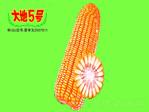 ���5̖-���׷N��-��طN�I(y��)