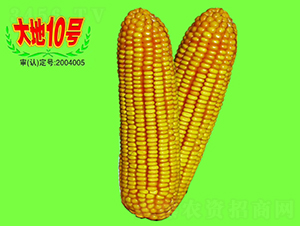 ���10̖(h��o)-���׷N��-��طN�I(y��)