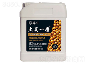 ����һ�������;���-ɭ��-����