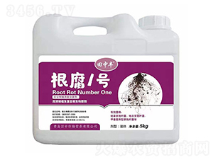 �ߝ�s�����ͺ�΢�������-����1̖-��������