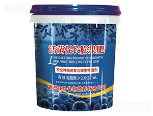 ������L�����-��������