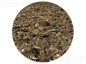 ���u�S-ʥ������