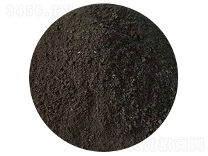 �u�S-ʥ������