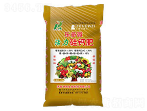 ����΢�������}��-������� 