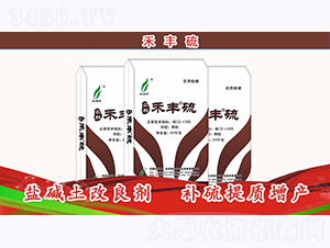 �}�A��������-���S��-�º��S