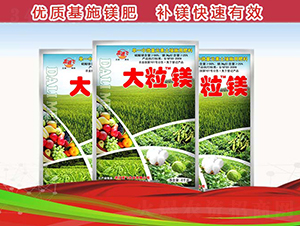 �����V-�º��S