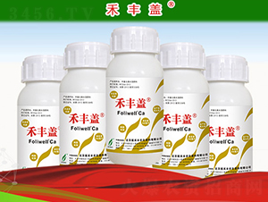 ľ�|(zh��)���������}��-���S�w-�º��S