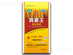 ����ጷ�-���Z��-�������