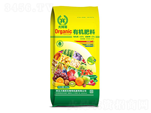 �ЙC����-��Ĵ��