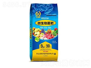 40kg΢�������-��Ĵ��