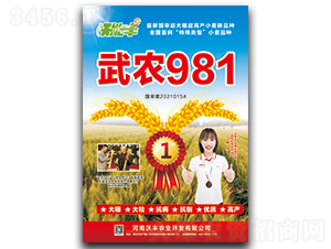 ���r(n��ng)981-С���N��-�����S