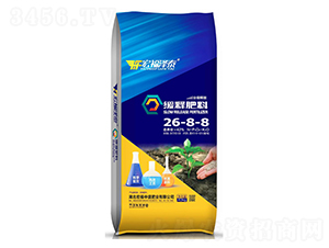 ��ጷ���26-8-8-�긣��ʢ