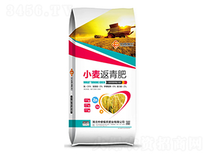 С�������-�긣��ʢ