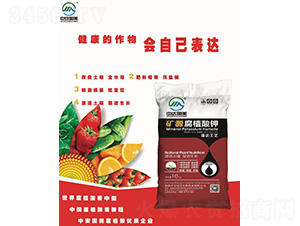 �VԴ��ֲ���-�а�����