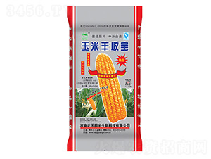 �����S�Ռ�-����ꖹ�